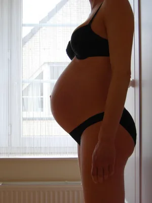 Gatas Reais em Água Branca, PI – Perfil Verificado e Sem Filtros – descubra as gatas da sua cidade